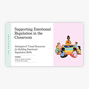 Supporting Emotional Regulation in the Classroom